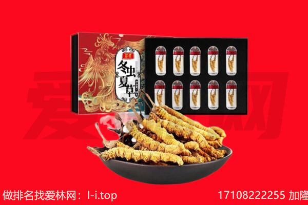 钦州浦北县回收虫草.jpg